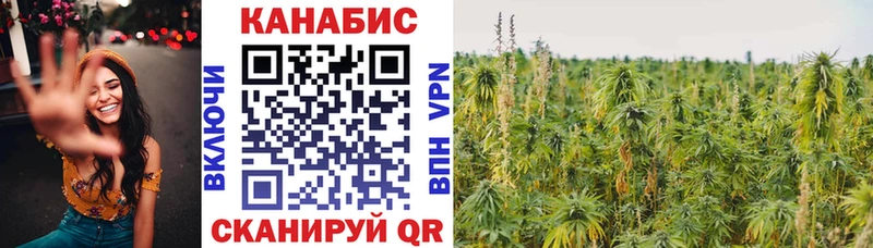 Бошки марихуана тримм Богородицк